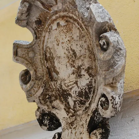 トゥットロット 4*