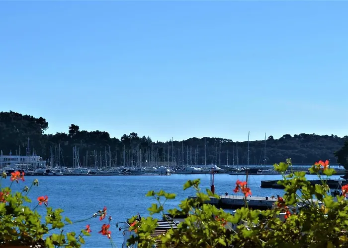 图托罗托别墅住宿加早餐旅馆 住宿加早餐酒店